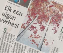 Mix & match. Waar stopt design en wordt het kunst? Lees het artikel?