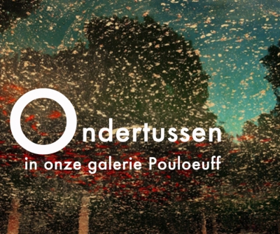 Ondertussen in de galerie: Janneke Veerman