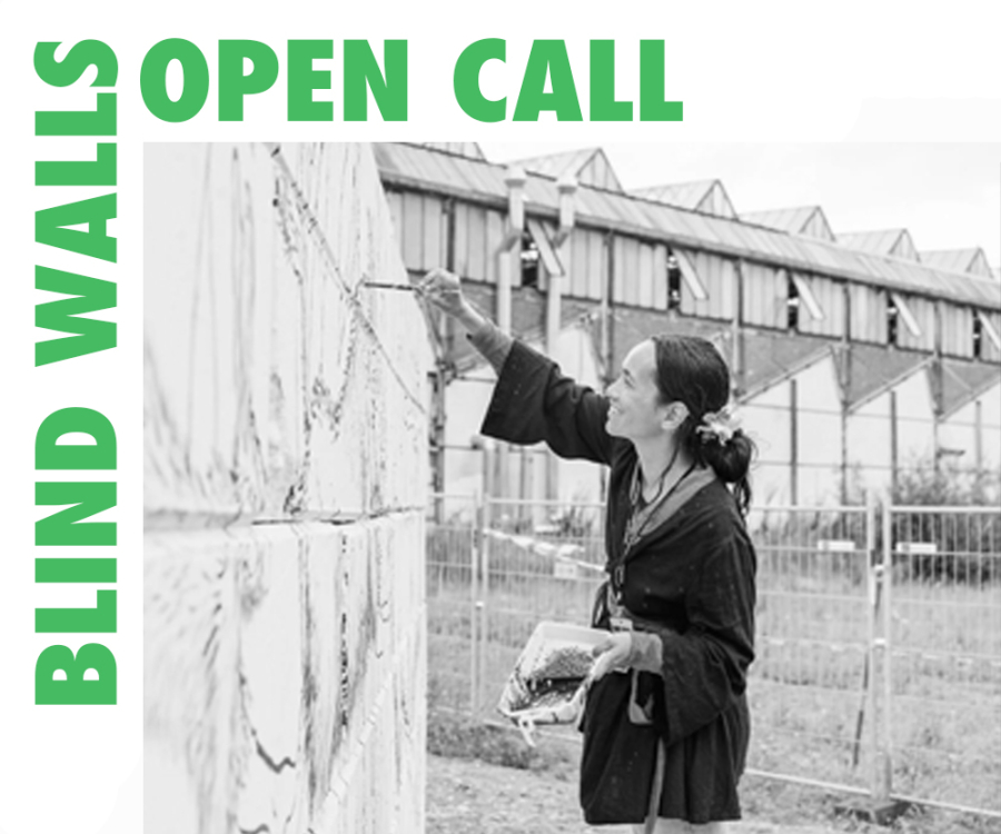 Blind Walls Talent Call